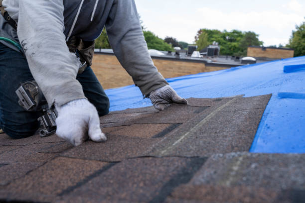Best Commercial Roofing Services  in Iowa Colony, TX